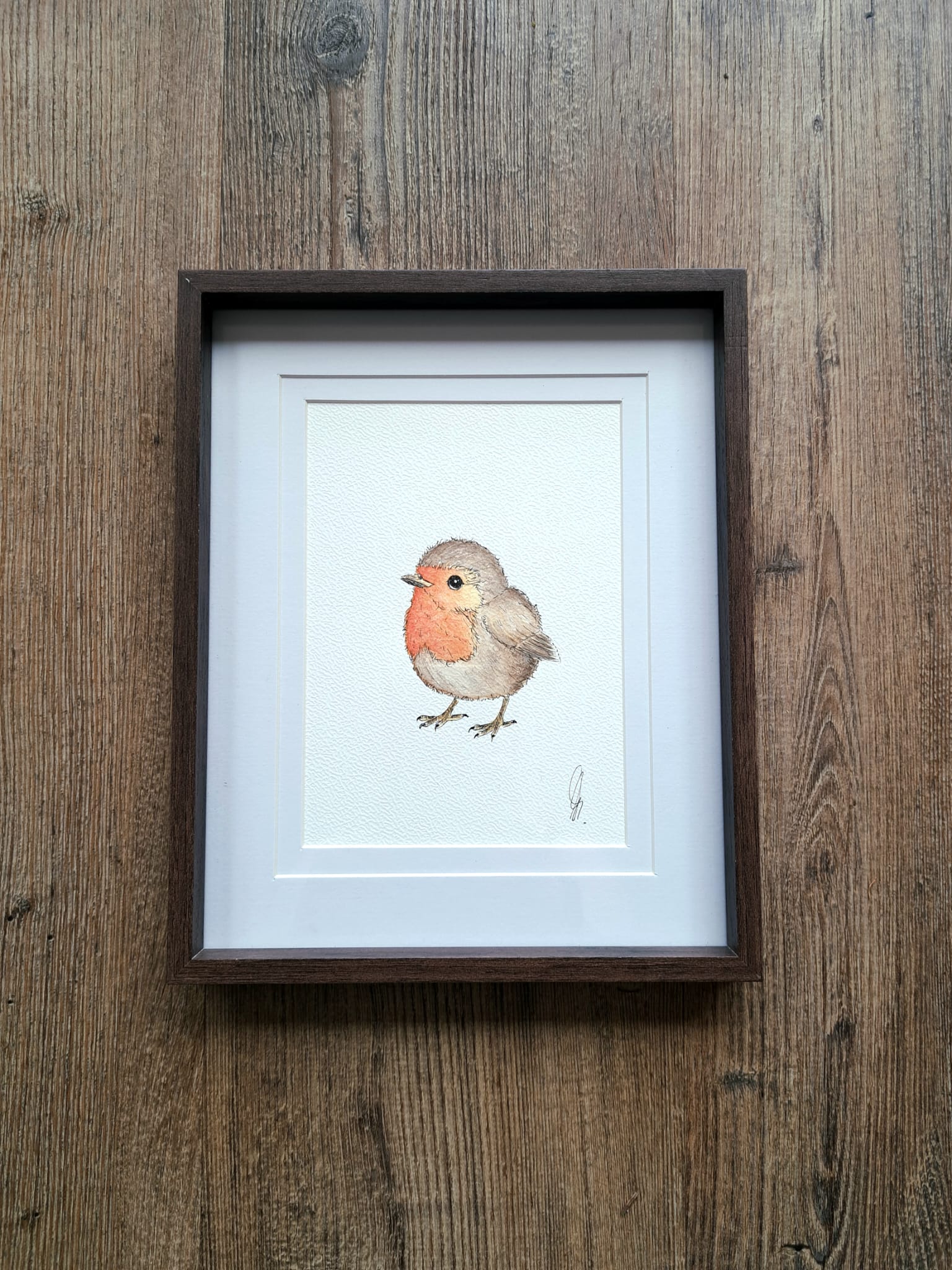 Aquarel schilderij Aquareldig roodborstje