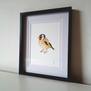 Aquarel schilderij puttertje vogel
